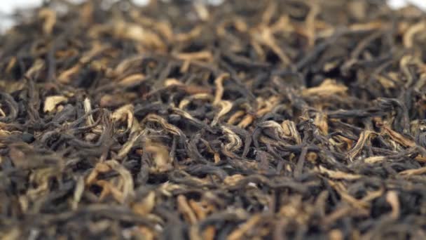 Hoja de té de fondo. Estructura natural de las hojas de té secas. Té negro. Primer plano, macro — Vídeo de stock
