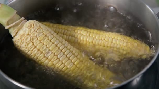 Cottura di mais bollito in acqua bollente primo piano. Rallentatore — Video Stock