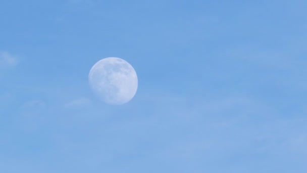 Голубое небо в дневное время с половиной луны. Закрыться и сосредоточиться. восходящая луна — стоковое видео