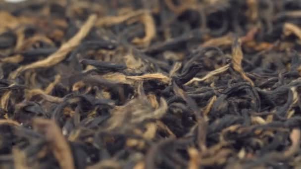 Montón de té negro sobre un fondo blanco. Hojas secas de té negro, deliciosas, naturales. — Vídeo de stock