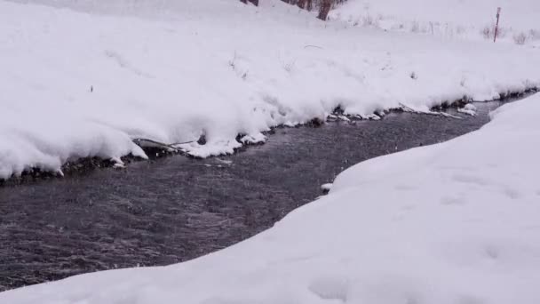 Erdei folyó télen. Téli erdei folyó folyik. Eső hó, szelektív fókusz — Stock videók