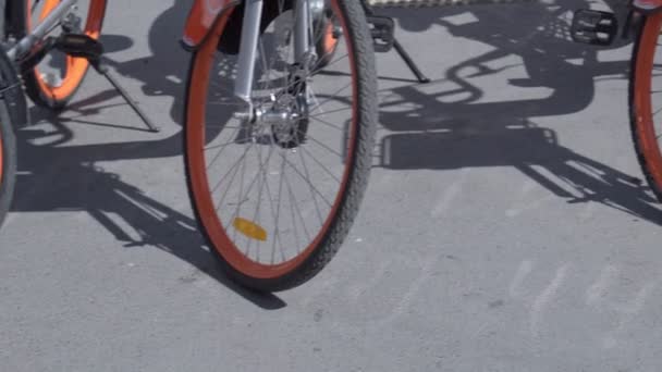 अधिक साइकिल के साथ बाइक पहिया पंक्तिबद्ध। साइकिल किराया . — स्टॉक वीडियो