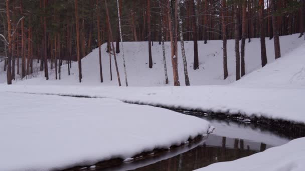Erdei folyó télen. Téli erdei folyók. — Stock videók