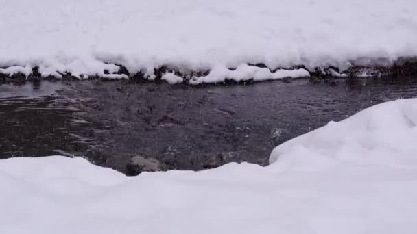 Neige hiver forêt rivière scène. Paysage Chute de neige, mise au point sélective — Video