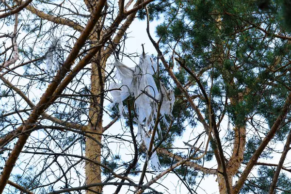 Plastový Sáček Větvích Stromu Zblízka Selektivní Zaměření Důsledku Znečištění Lidí — Stock fotografie