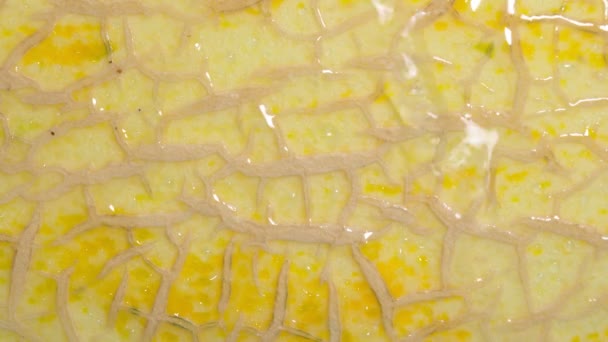 Fondo de textura de melón dulce. Primer plano de un melón fresco maduro. Gotas de agua — Vídeos de Stock
