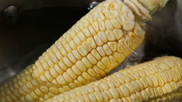 Жовта кукурудза в гарячому горщику. Готуємо овочі в горщику. Врожай кукурудзи. Домашня кухня — стокове відео