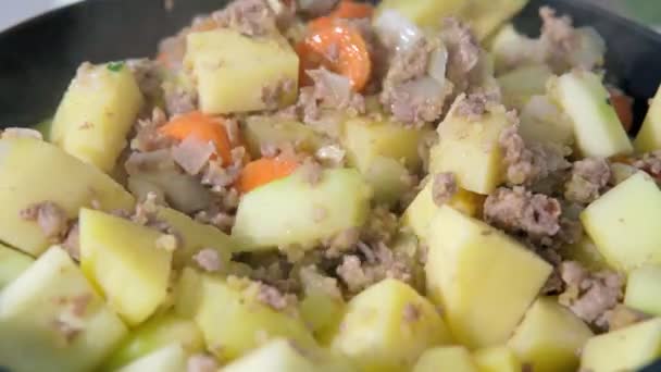 Eintopf oder Ragout mit Fleisch und Gemüse. Traditioneller hausgemachter Fleischeintopf oder Ragout — Stockvideo