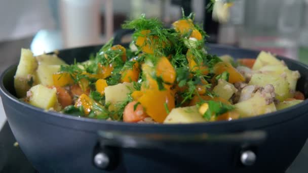Guisado de legumes com carne picada e especiarias. Fatias de legumes cozidos — Vídeo de Stock
