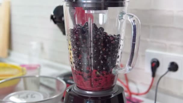 Schwarze Johannisbeere, Zubereitung eines Beerencocktails. Die Beeren werden in einem Mixer gemahlen. Zeitlupe — Stockvideo