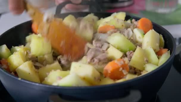 Eintopf oder Ragout mit Fleisch und Gemüse. Traditioneller hausgemachter Fleischeintopf oder Ragout — Stockvideo