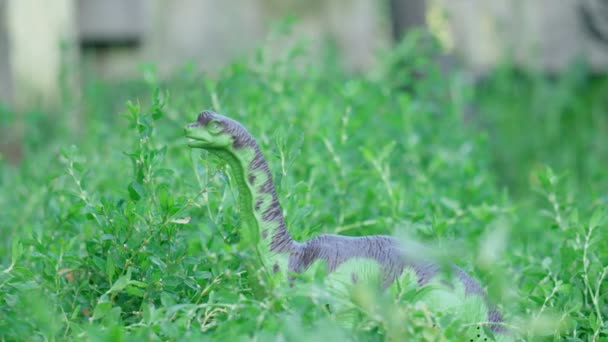 Jeden plastikowy dinozaur chodzi na tle zielonej trawy. Starożytne zwierzęta. Skupienie selektywne — Wideo stockowe