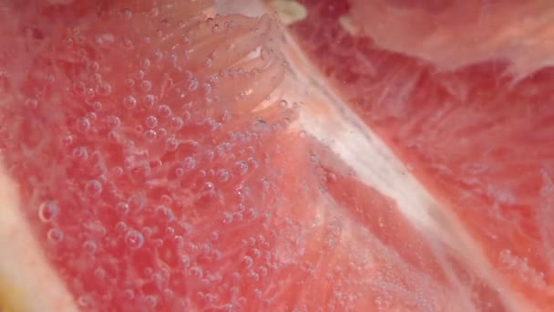 Grapefruit close up macro fizzing ή επιπλέουν μέχρι την κορυφή της επιφάνειας. — Αρχείο Βίντεο