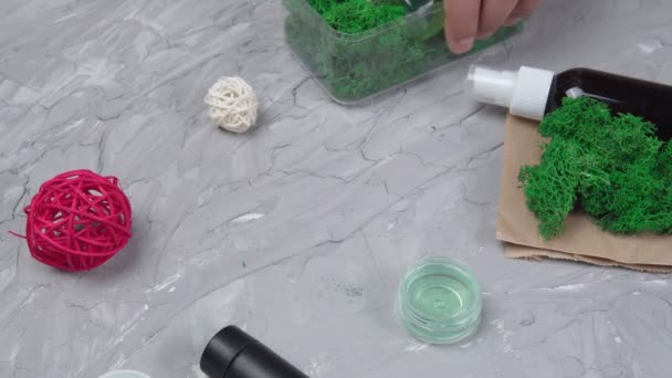 Jabón, con musgo verde, cosméticos sobre un fondo gris, musgos. Enfoque selectivo — Vídeo de stock