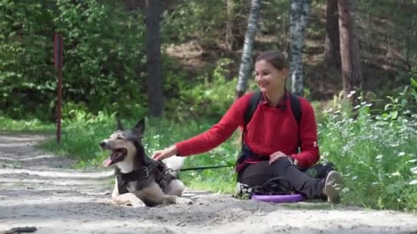 I skogen en solig dag kramar en flicka hunden och leker med henne.. — Stockvideo