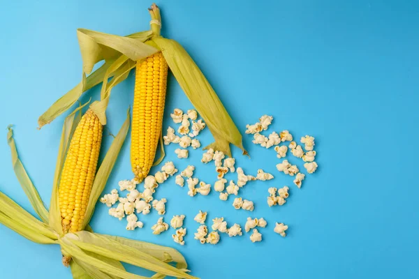 Homemade Fresh Popped Organic Grown Dry Corn Cob Blue Background — Stock Photo, Image