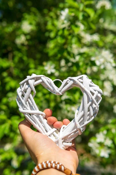 Białe Serce Dłoni Tle Kwitnącego Drzewa Koncepcja Miłości Zdjęcie Pionowe — Zdjęcie stockowe