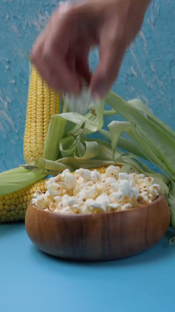 Maíz después de la cosecha, maíz en la mazorca. Palomitas de maíz en el fondo azul. Foto vertical — Vídeo de stock