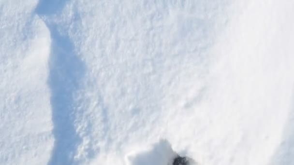 Caminhe POV na neve na caminhada de inverno, botas de explorador na neve fresca. Atividades ao ar livre inverno — Vídeo de Stock