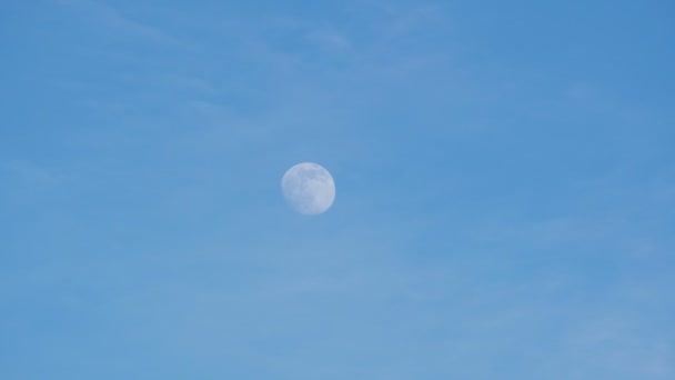 Το φεγγάρι στο φόντο του γαλάζιου ουρανού σε μια ηλιόλουστη μέρα, το χειμώνα — Αρχείο Βίντεο
