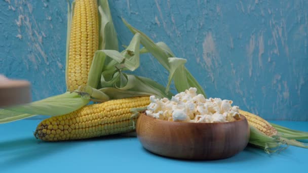 Cosecha maíz, maíz en la mazorca. Palomitas de maíz en el fondo azul — Vídeo de stock