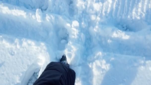 Os pés estão andando na neve. Turistas em pés de neve viagem de neve inverno. — Vídeo de Stock