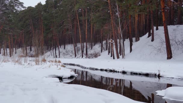 森林河流在冬天。冬季森林河流。冬季雪地河流奔流 — 图库视频影像