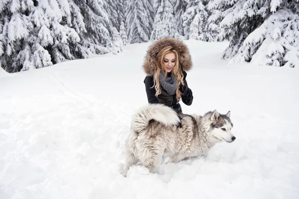 Felice giovane donna che gioca con i cani husky siberiani nella foresta invernale — Foto Stock