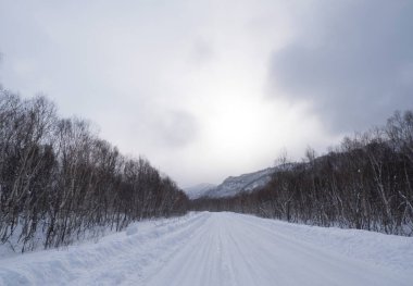 Karlı yol uzaklara gidiyor, kar ve ormanın olduğu her yerde, karla kaplı dağlar uzaklarda görülebilir, gökyüzünde bulutlar var, ama güneş arkalarından gözetliyor.