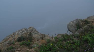 Kayaların üzerindeki bir uçurumun kenarında sisi görebilirsiniz, ve aşağıda denizin dalgalarını görebilirsiniz, yeşil otlar taşların arasından geçer, gün bulutlu ve sisli olur.