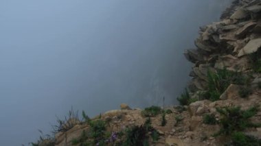 Kayaların üzerindeki bir uçurumun kenarında sisi görebilirsiniz, ve aşağıda denizin dalgalarını görebilirsiniz, yeşil otlar taşların arasından geçer, gün bulutlu ve sisli olur.
