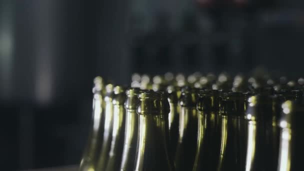 Bouteilles en verre pour bière sur le tapis roulant — Video