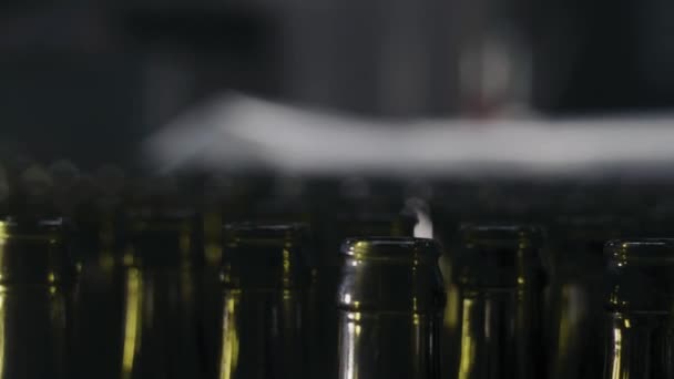 Bouteilles en verre pour bière sur la bande transporteuse fermer de droite à gauche — Video