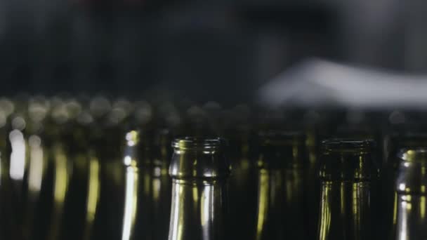 Botellas de vidrio para cerveza en la cinta transportadora cerca de izquierda a derecha — Vídeos de Stock
