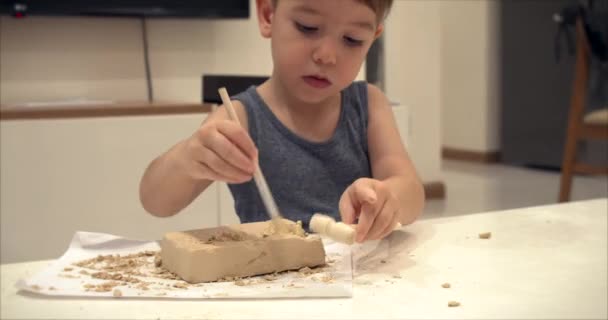 Childrens hands, close-ups of children playing polyanthologists from a piece of clay making excavations of dinosaurs childrens educational circle for drawing and modeling. The development process of — Stock Video