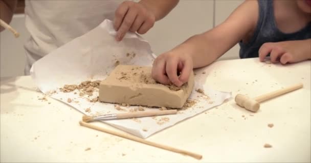 Childrens hands, close-ups of children playing polyanthologists from a piece of clay making excavations of dinosaurs childrens educational circle for drawing and modeling. The development process of — Stock Video