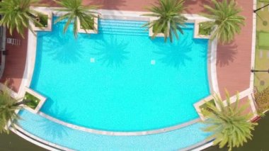 Parlak güneşli bir yaz gününde hava aracı uçuşu. Etrafında palmiye ağaçları, şehir altyapısı, konut binaları ve geçen arabalar olan güzel bir havuzun zeminine karşı..