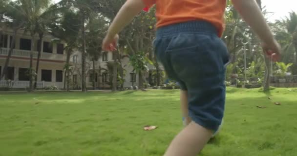 Дети играют в футбол в летний день. Счастливый ребенок играет в мяч открытый образ жизни спорта в парке здоровым. Малыш играет в футбол в парке на траве. — стоковое видео