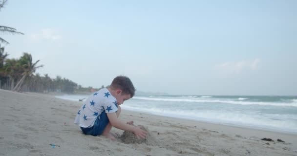 Unbekümmerter Junge baut ein Haus aus Sand, Kind spielt am Meer. Kind baut mit den Händen aus Sand eine Pyramide, kleiner Junge spielt mit Sand vor dem Hintergrund von Strandpalmen. Glückliche Kindheit. — Stockvideo