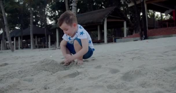 Bambino spensierato gioca in riva al mare, bambino costruisce una casa di sabbia. Il bambino gioca con la sabbia sullo sfondo delle palme della spiaggia. bambino costruisce una piramide con le mani dalla sabbia, infanzia felice. — Video Stock