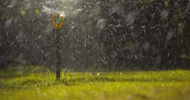 Ativado com sistema de irrigação por aspersão automático completo trabalhando em um parque verde. Aspersor cabeça regar grama verde gramado. 4K Raw Footage. — Vídeo de Stock