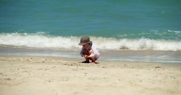 Portrait d'un petit garçon drôle dans un chapeau sur le bord de la mer recueille coquillages, étoiles, pétoncles, coquillages, enfant sur la plage au bord de la mer, un enfant mignon avec un beau. Concept d'enfance heureuse. — Video