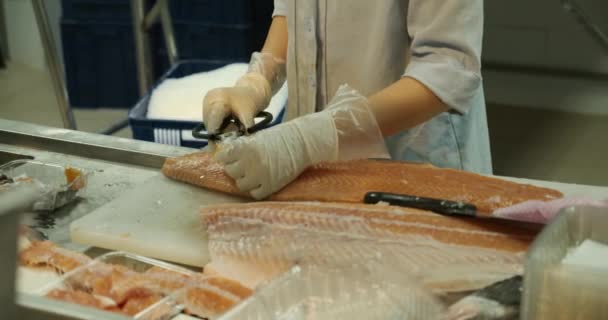 Primer plano de una mano trabajadora en una fábrica de mercado, una mujer se para en el proceso de cortar un salmón y apilar filetes de pescado rojo. Planta procesadora de carne de pescado. Fábrica de pescado, corte de pescado — Vídeos de Stock