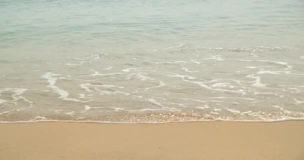 Tir d'une vue sur les vagues de la mer et des palmiers, belles vagues, mauvais temps, vagues de la mer turquoise s'écrasant contre le rivage sablonneux. 4K — Video