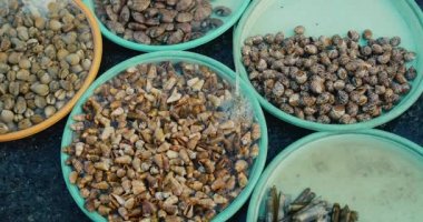 Kamera, midyeler, istiridyeler, deniz istiridyeleri, midyeler, bir sürü balık ve çeşitli kabuklu deniz hayvanlarıyla marketin tezgahlarını tarıyor. Taze deniz ürünleri, kabuklu deniz ürünleri ve canlı karides, Asya 'daki pazarda deniz ürünleri satışı..