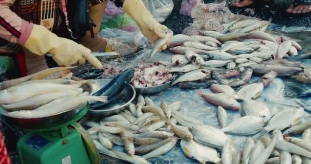 Prowincja Han Hoa, Wietnam, 9 maja 2021.Azjatycki rynek uliczny turystycznego Wietnamu, gdzie kobiety sprzedają świeże i żywe ryby, obcinają płetwy dla klienta.Wietnamskie staruszki sprzedają świeże owoce morza ostrygi, małże. — Wideo stockowe