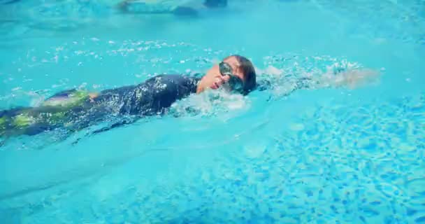 Nadador profesional, nadando al estilo de un gateo en la piscina. Concepto deportivo, natación a gatas, natación en la piscina, nadador profesional. — Vídeos de Stock