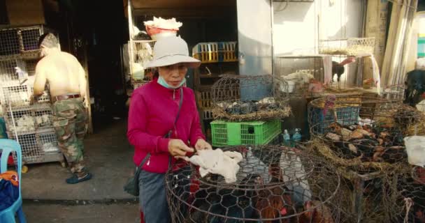 Han Hoa-provinsen, Vietnam 9 maj 2021. Kvinnan tar bort fågelfjädrar från en fågel som är till salu för att äta en gås Marknaden säljer levande fåglar kycklingar, gäss, ankor, gatumarknaden i turiststaden Asien — Stockvideo