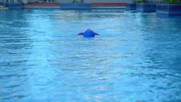 Επαγγελματίας κολυμβητής, κολυμπούσε σε στυλ μπουσουλιάς στην πισίνα. Αθλητική ιδέα, σέρνομαι κολύμπι, πισίνα κολύμπι, επαγγελματίας κολυμβητής. — Αρχείο Βίντεο