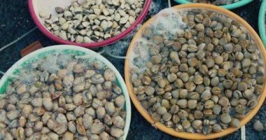 Kamera, midyeler, istiridyeler, deniz istiridyeleri, midyeler, bir sürü balık ve çeşitli kabuklu deniz hayvanlarıyla marketin tezgahlarını tarıyor. Taze deniz ürünleri, kabuklu deniz ürünleri ve canlı karides, Asya 'daki pazarda deniz ürünleri satışı..